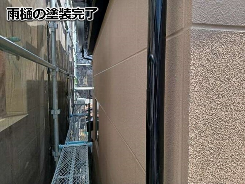 雨樋の塗装完了