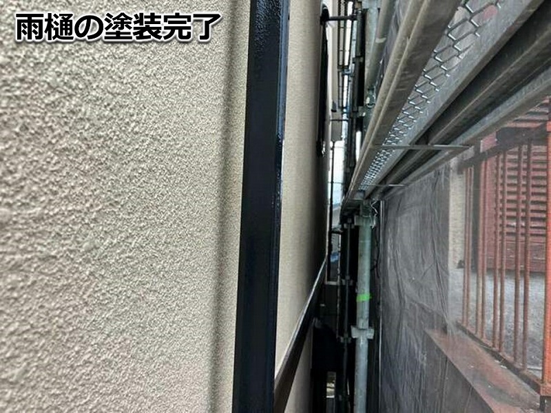 雨樋の塗装完了