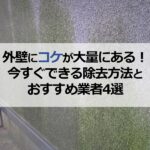 外壁にコケが大量にある！今すぐできる除去方法とおすすめ業者4選