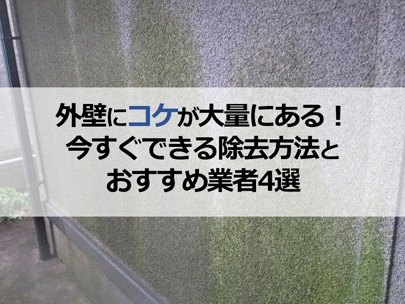 外壁にコケが大量にある！今すぐできる除去方法とおすすめ業者4選
