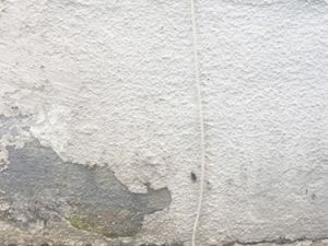 塩害による劣化（塗膜の剝がれ）