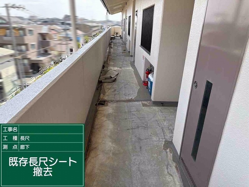 長尺シート撤去後の廊下