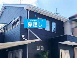 鼻隠し