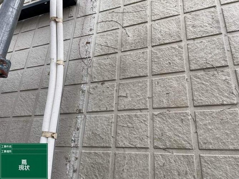 ツタがある外壁