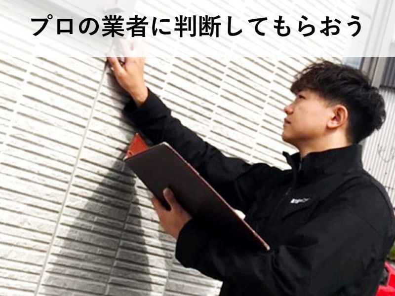プロの業者に判断してもらおう
