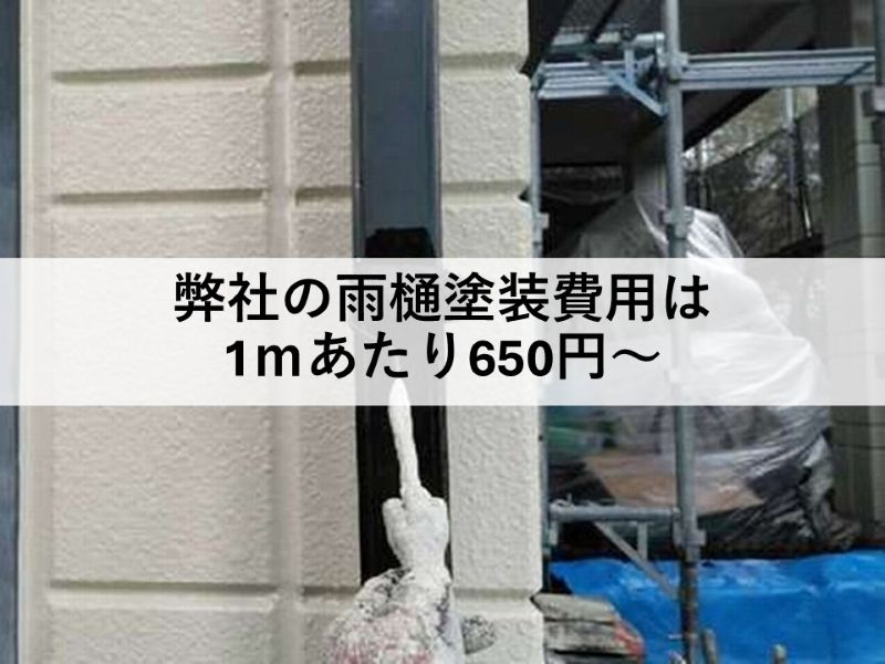 弊社の雨樋塗装費用は1ｍあたり650円～