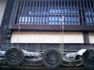 隙間から雑草が生えている