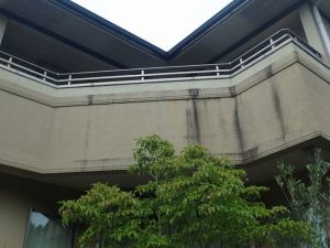 外壁の黒ずみ