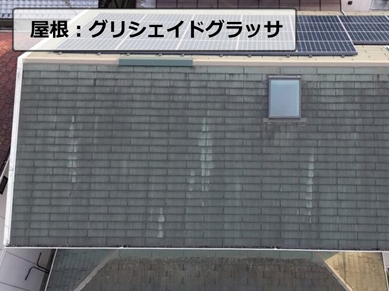 グリシェイドグラッサ
