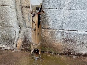 広範囲にヒビ・割れがある雨どい