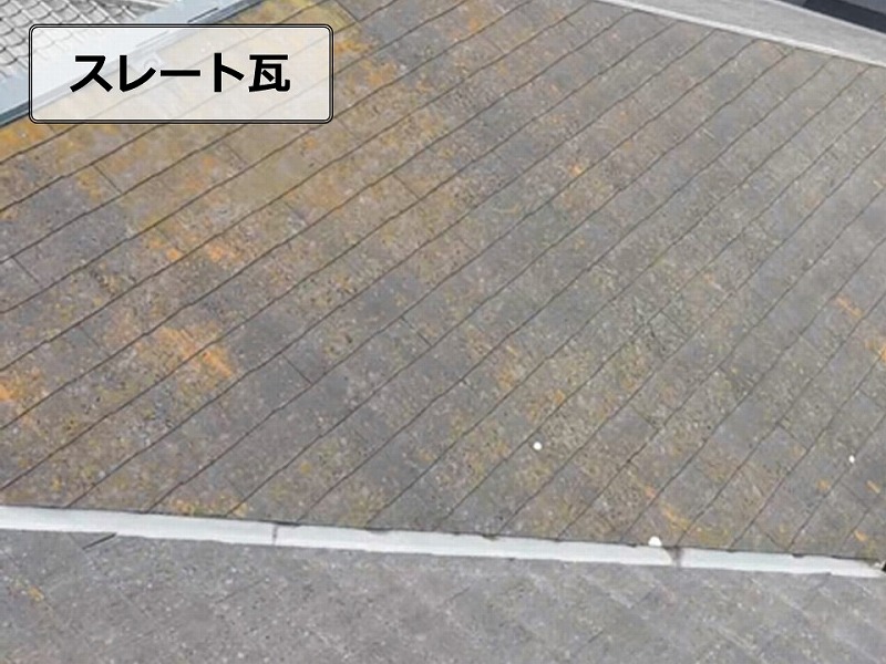 コケが大量に繁殖するスレート瓦