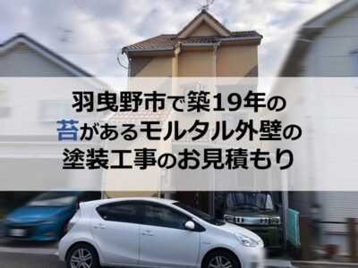 羽曳野市で築19年の苔があるモルタル外壁の塗装工事のお見積もり
