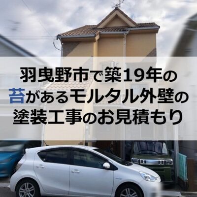 羽曳野市で築19年の苔があるモルタル外壁の塗装工事のお見積もり
