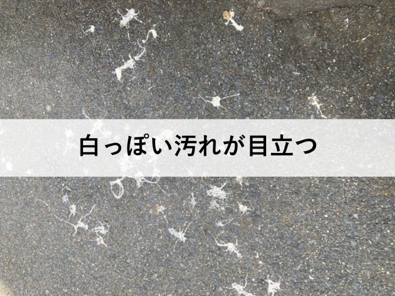 黒い外壁は白っぽい汚れが目立つ