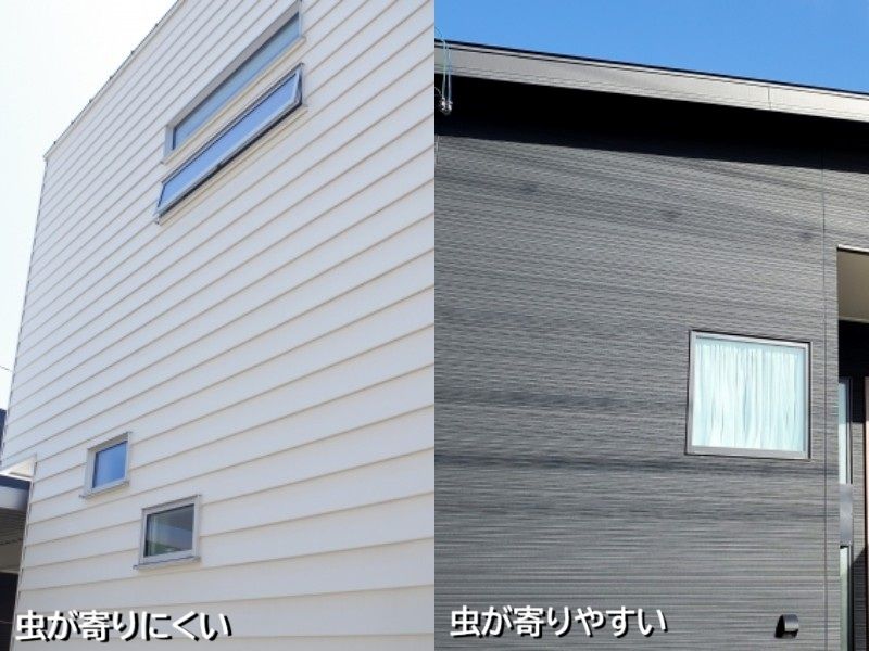 外壁の色によっても虫対策ができる