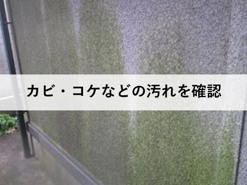 カビ・コケなどの汚れを確認