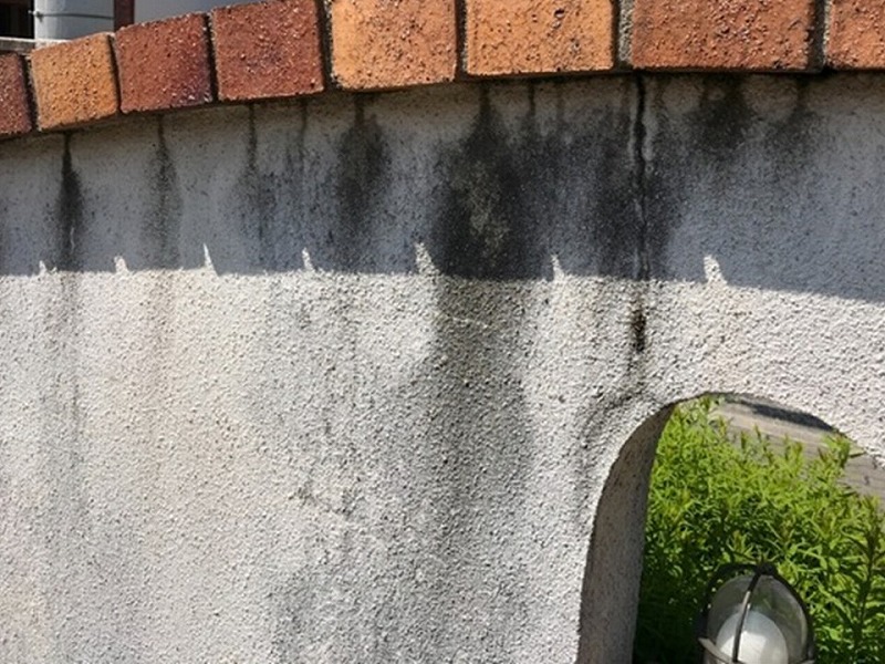 外塀の黒ずみ