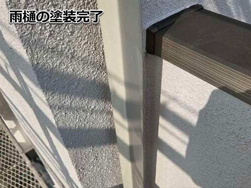 雨樋の塗装完了