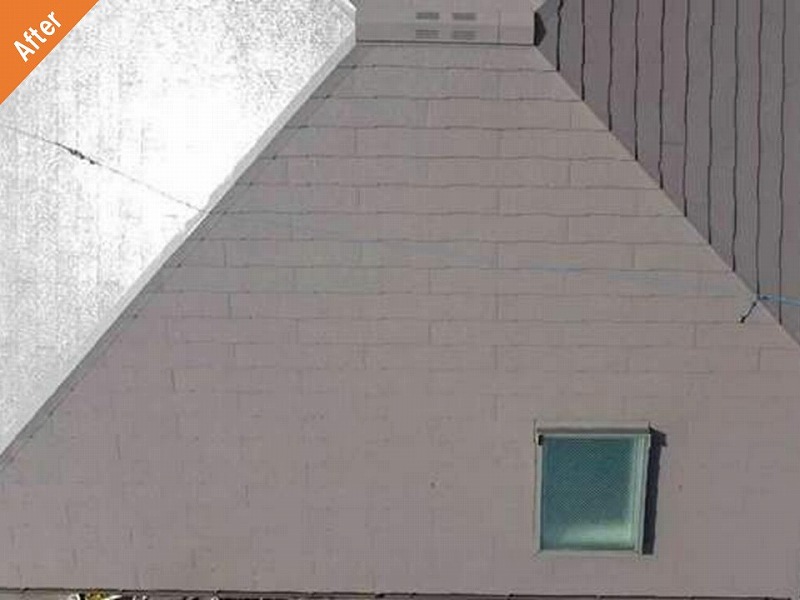 屋根塗装後のコロニアルNEOとトップライト