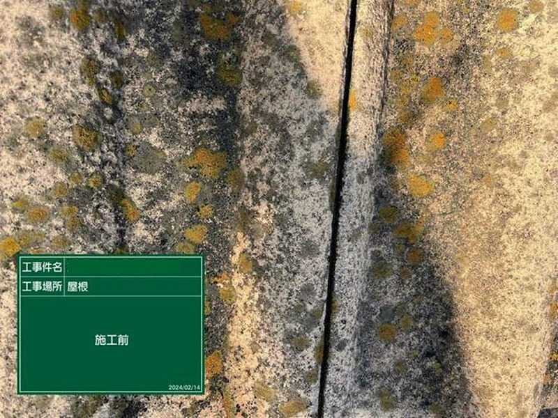 苔・カビが顕著に見られるモニエル瓦