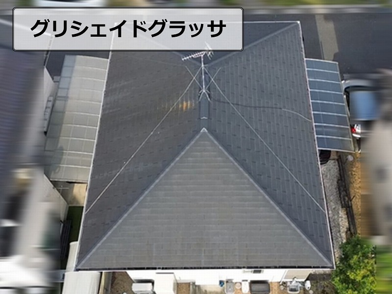 グリシェイドグラッサ