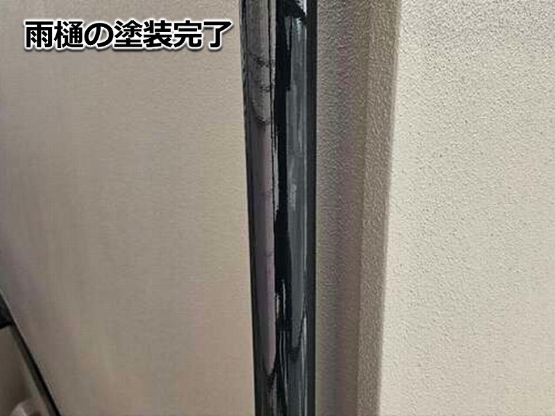 雨樋の塗装完了