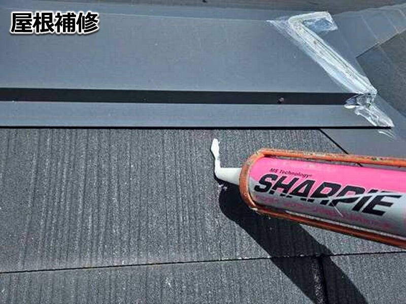 グリシェイドグラッサの補修