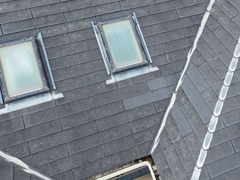 グリシェイドNEOのドローン点検