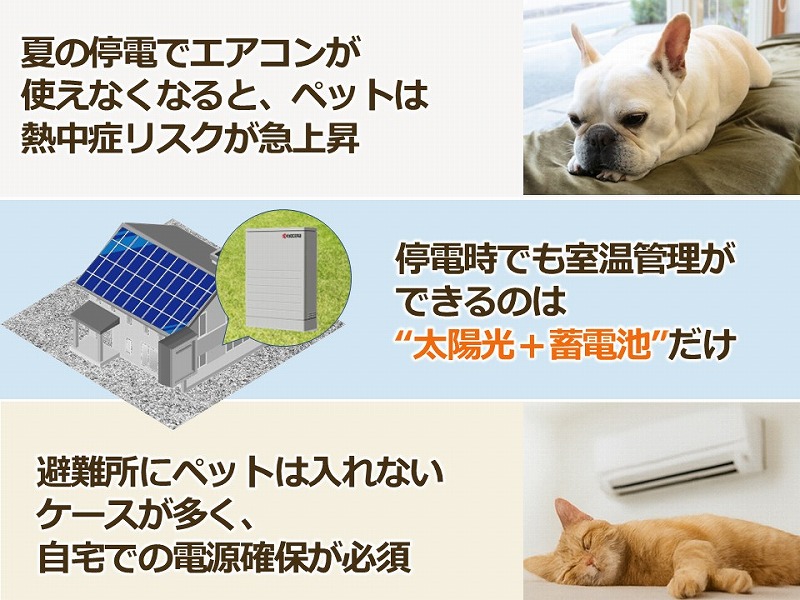 ペットを守るために「電源の確保」は必須です
