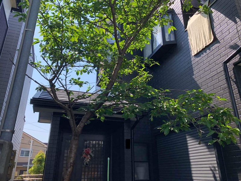 松原市 お客様の声