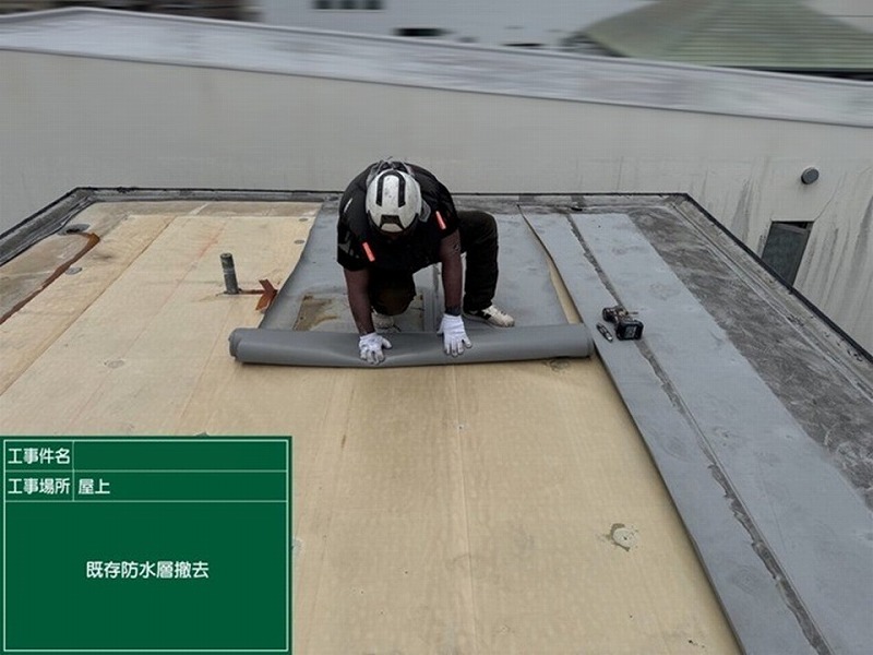 既存の防水層撤去