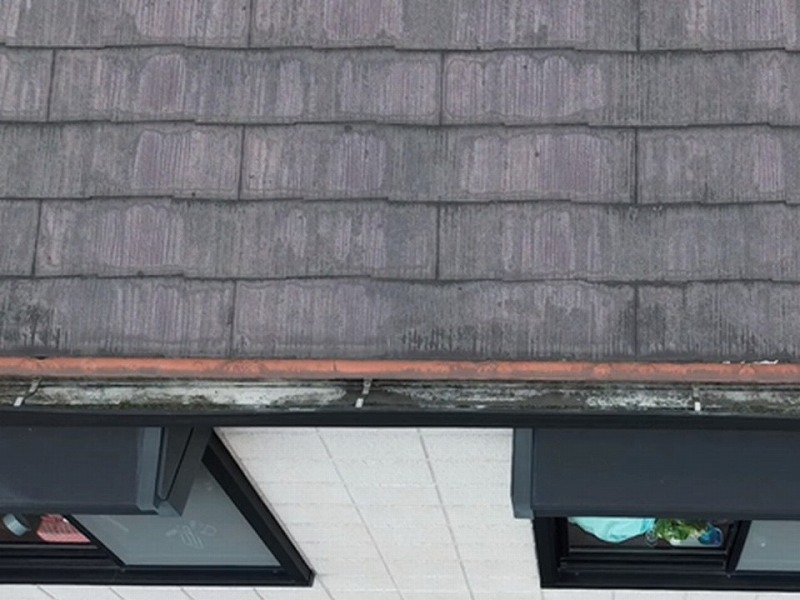 雨染みやカビの繁殖があるスレート瓦