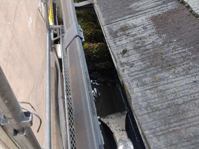 軒樋内の清掃