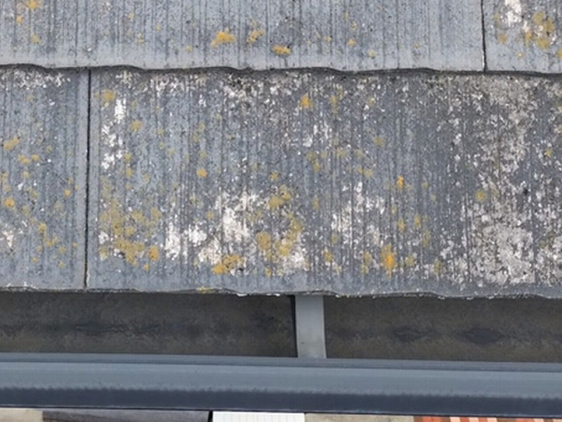 苔や藻が繁殖したスレート瓦