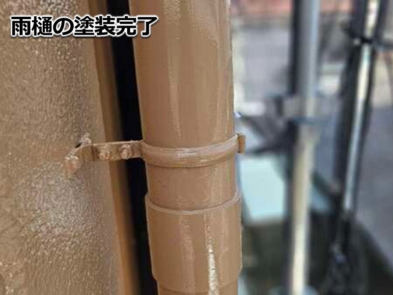雨樋の塗装完了