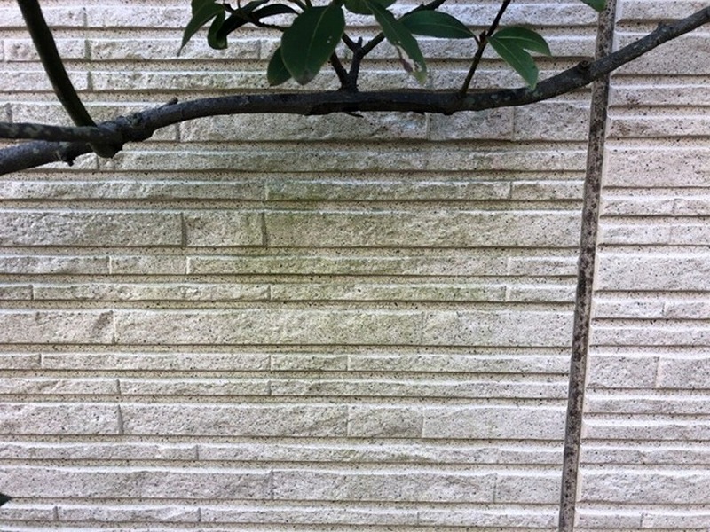 苔が繁殖した窯業系サイディング