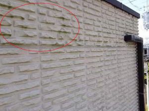 日当たりの悪い外壁に苔の繁殖