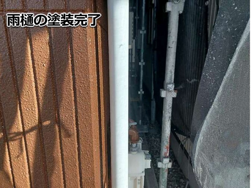 雨樋の塗装完了