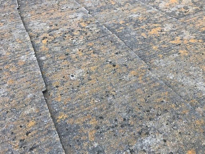 タマホームのメンテナンスが必要な屋根の症状 コケやカビの発生