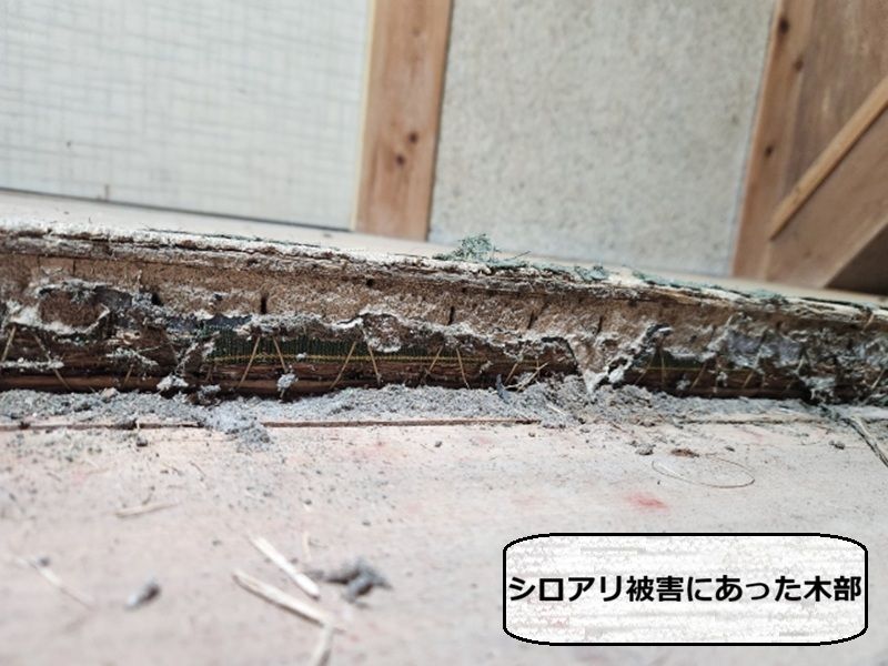 アイダ設計の10年点検 シロアリ点検