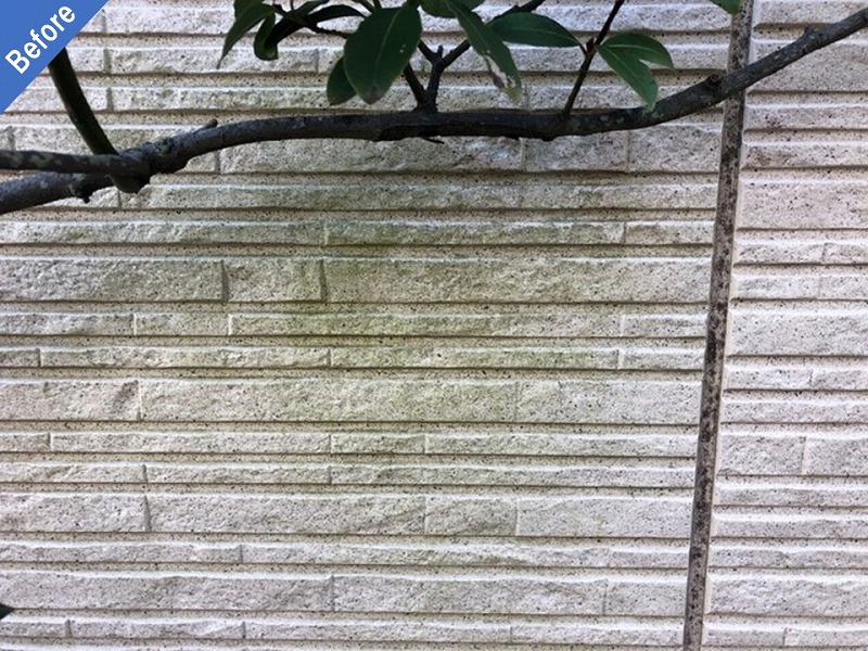 外壁塗装前の苔が繫殖した窯業系サイディング