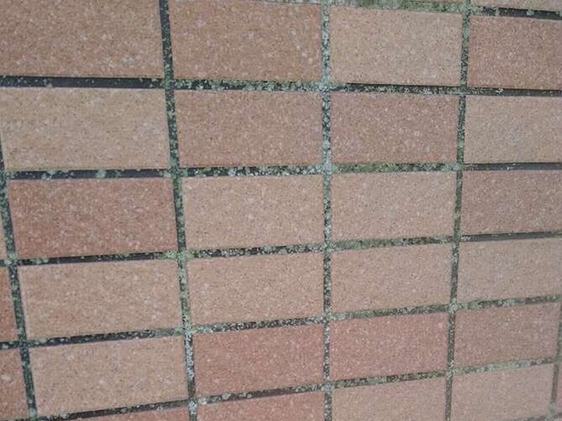 高圧洗浄前の汚れが目立つタイル外壁