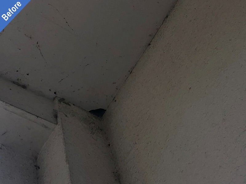 塗膜の剥がれた共用部天井の外壁