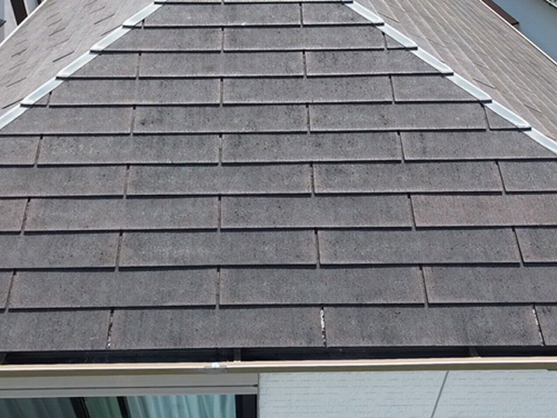 グリシェイドNEOのドローン点検