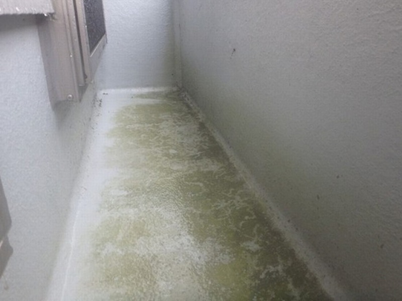 タマホームメンテナンス FRP防水の表面の色褪せやコケなどの汚れ