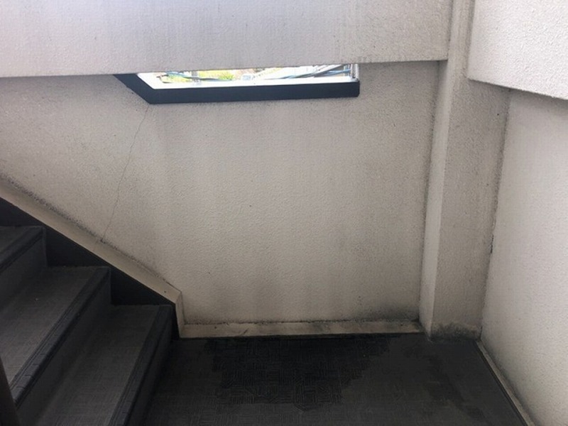 階段の外壁のカビ