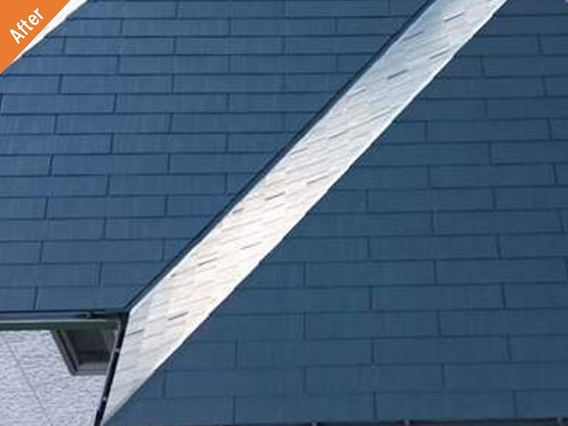 屋根塗装後のグリシェイドグラッサと板金