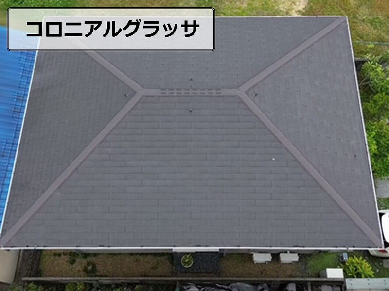 コロニアルグラッサ