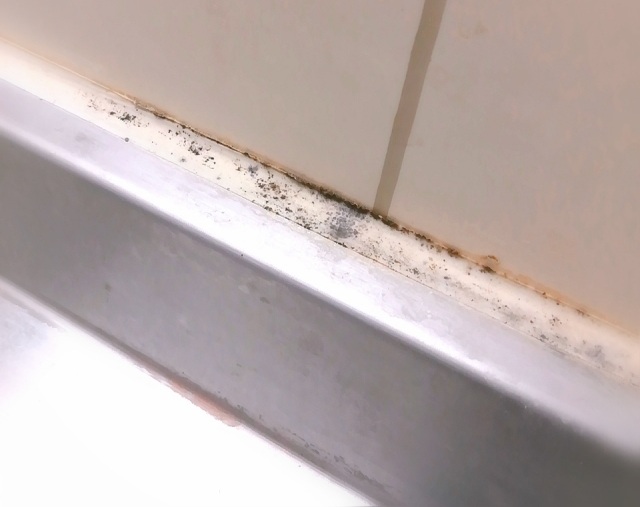 アイダ設計メンテナンス コーキング