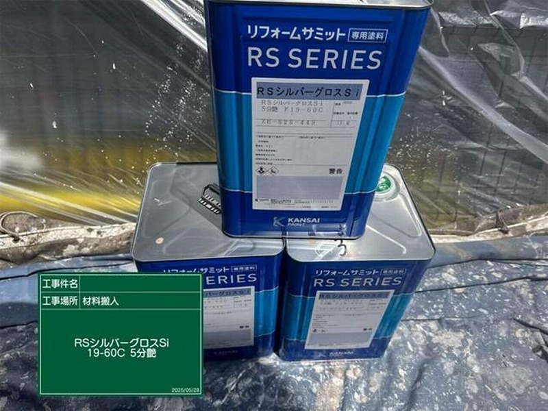 RSシルバーグロスSI 19-60C5分艶